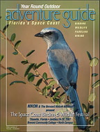 PDF File-32 pages. Opens in a new Window. Birding, paddling, surfing, hiking opportunities in Florida's Space Coast.