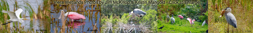 Click to enlarge these photos.