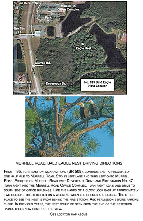 Back to Eagle Nest locators