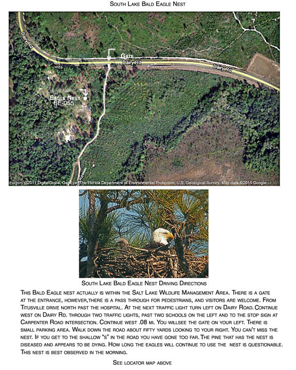 South Lake Bald Eagle Nest location