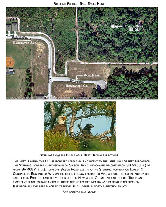 Sterling Forest Bald Eagle Nest location in Titusville