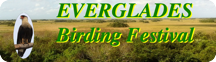 2022 Everglades Birding Festival