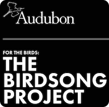 National Audubon Society's Birdsong Project.